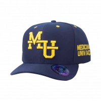 snapback aba curva medicina univaço