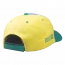 Boné Brahma