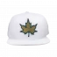 Snapback